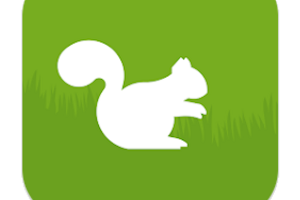 Eichhörnchen in Bayern-APP