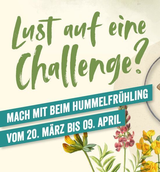 Hummelchallenge: Bayerns Hummeln