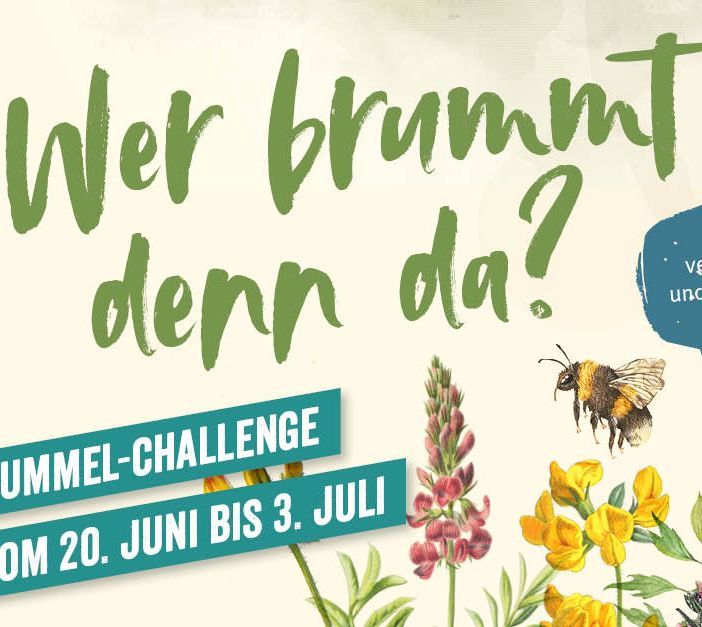 Hummelchallenge Schutzprojekte