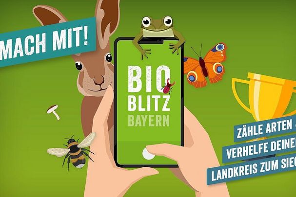 Bioblitz Bayern, Artenbestimmung, BN Themenseite