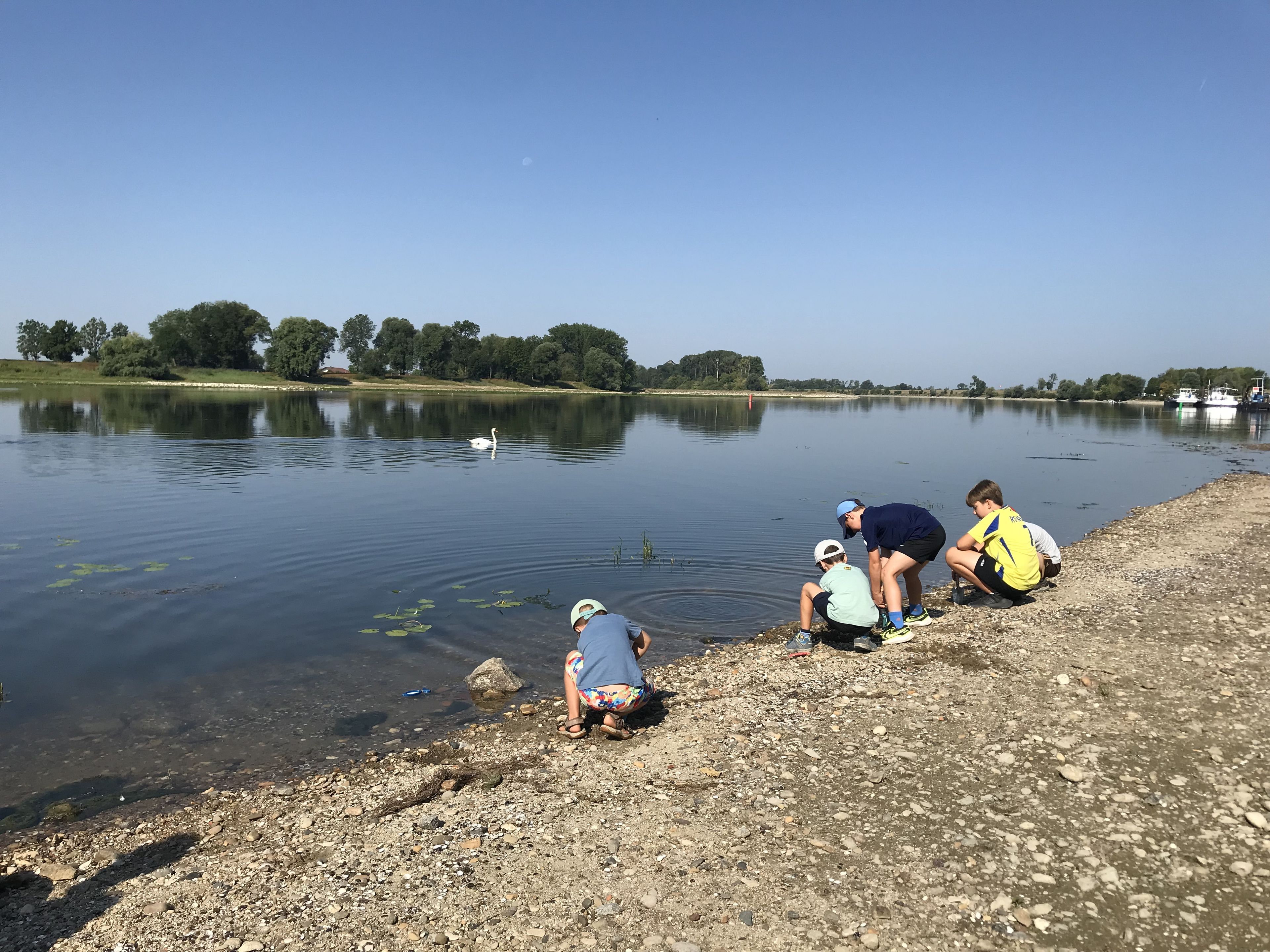 Schatzkiste Donau, Strand Metten