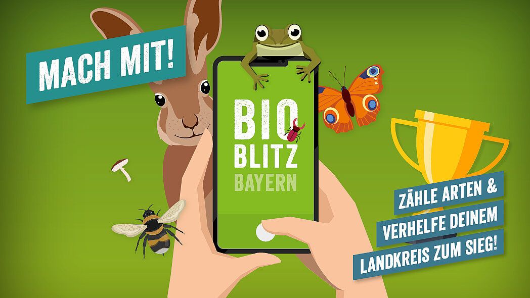 Bioblitz Bayern, Artenbestimmung, BN Themenseite