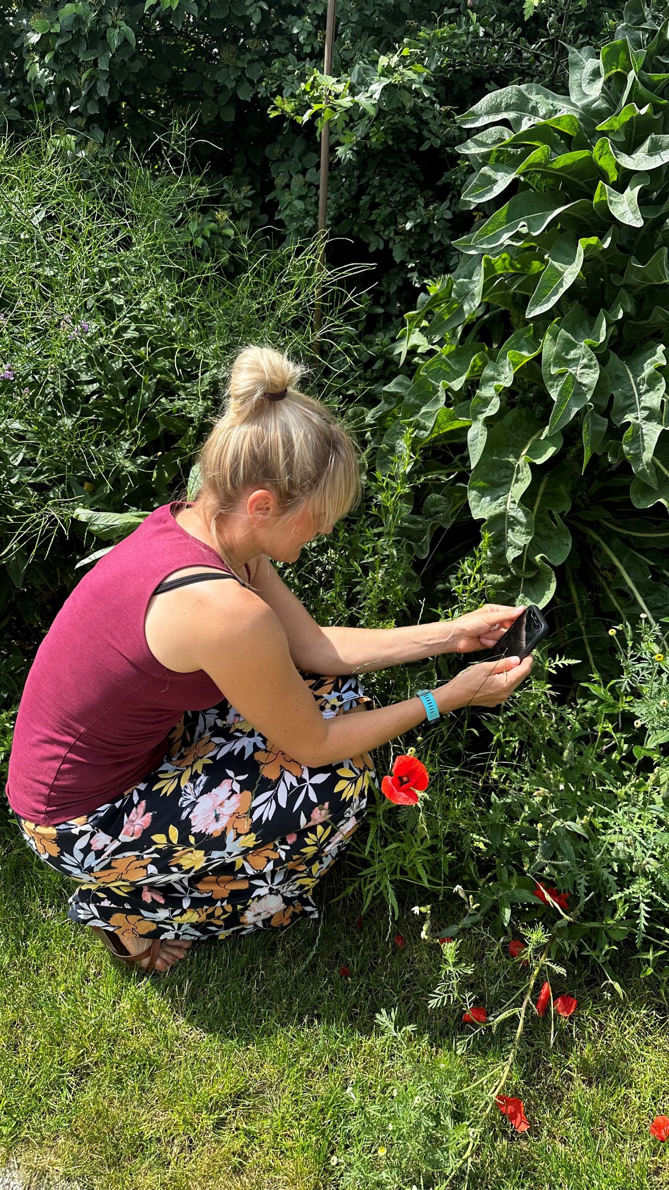 Bioblitz Bayern, Artenbestimmung