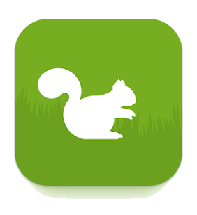 Eichhörnchen in Bayern-APP