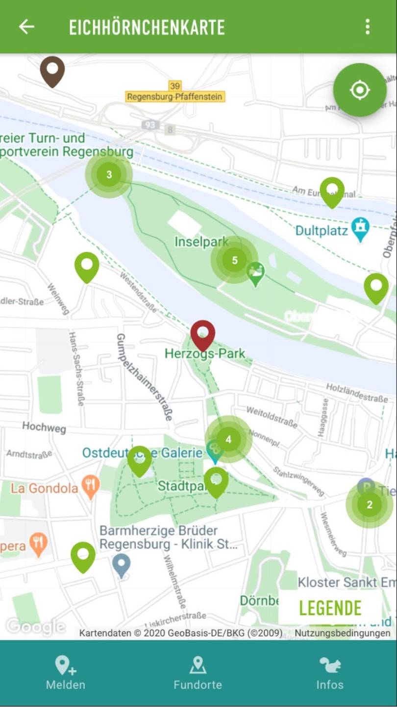 Eichhörnchen in Bayern-APP: Vorkommen
