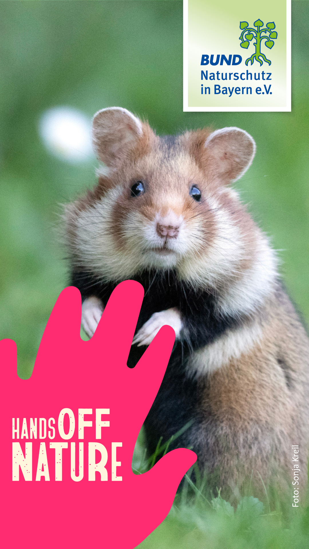 HandsOffNature: Plakat Feldhamster