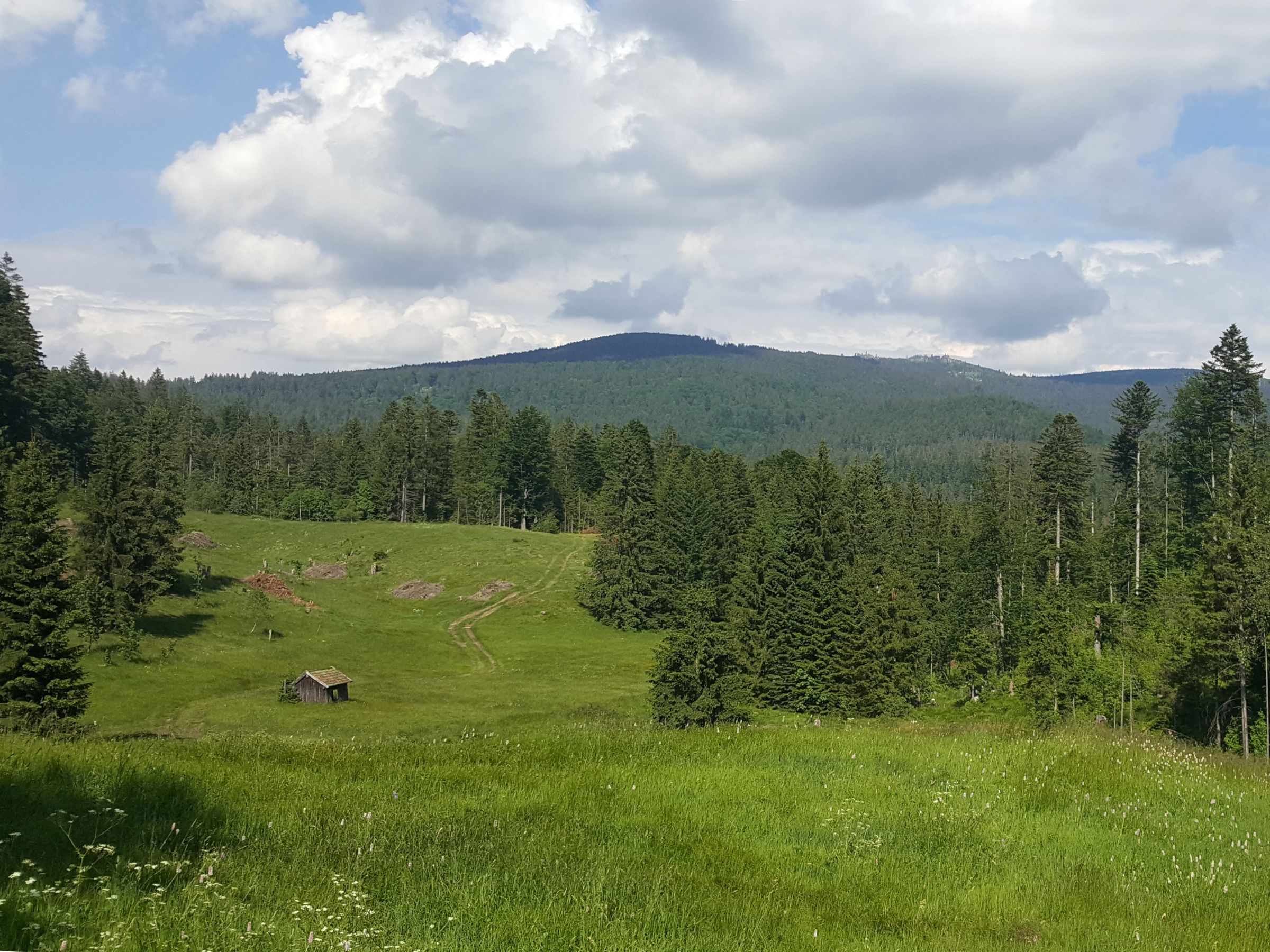 "Brennerin" mit Dreissesl