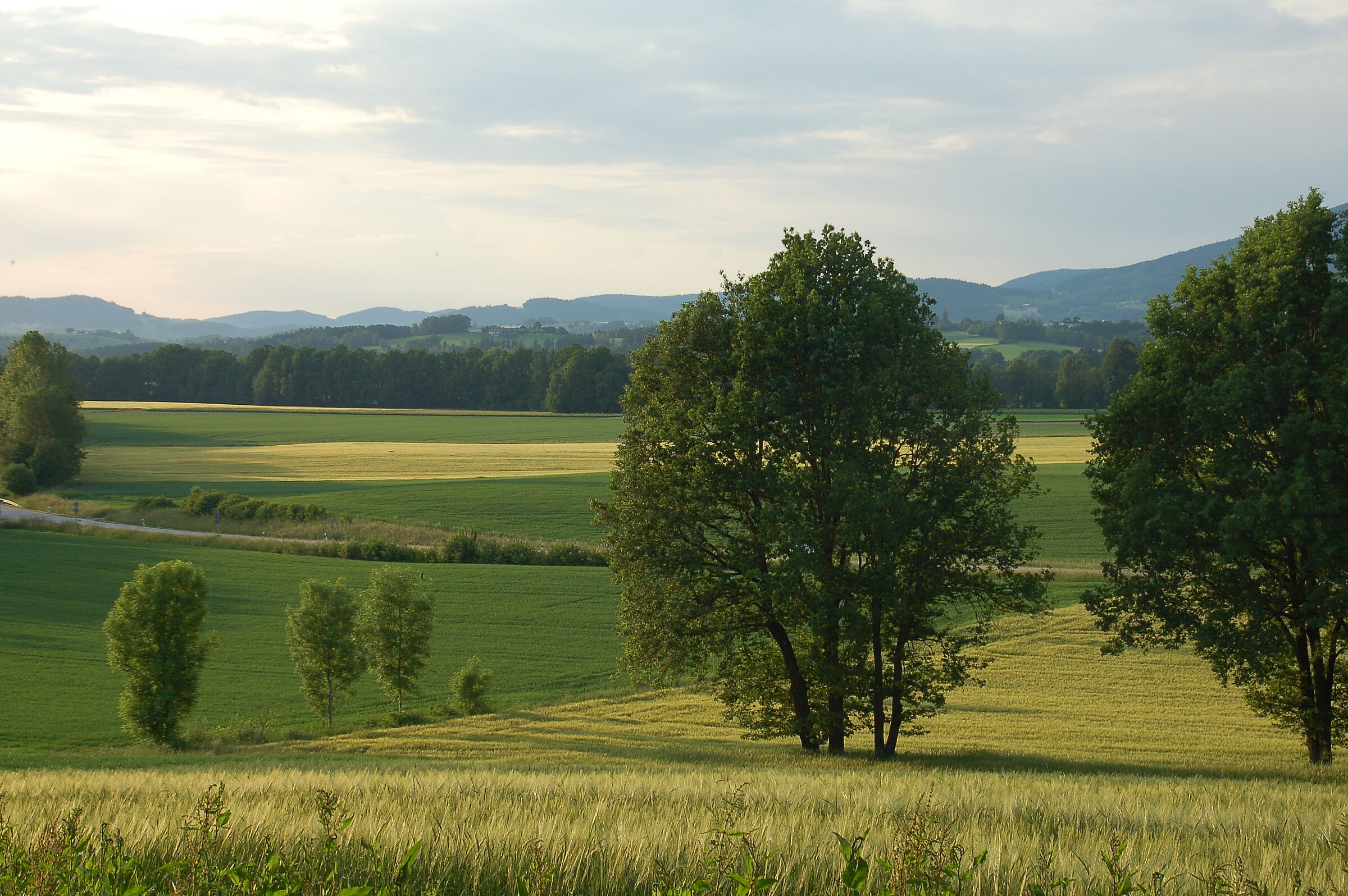 Landschaft bei Offenberg