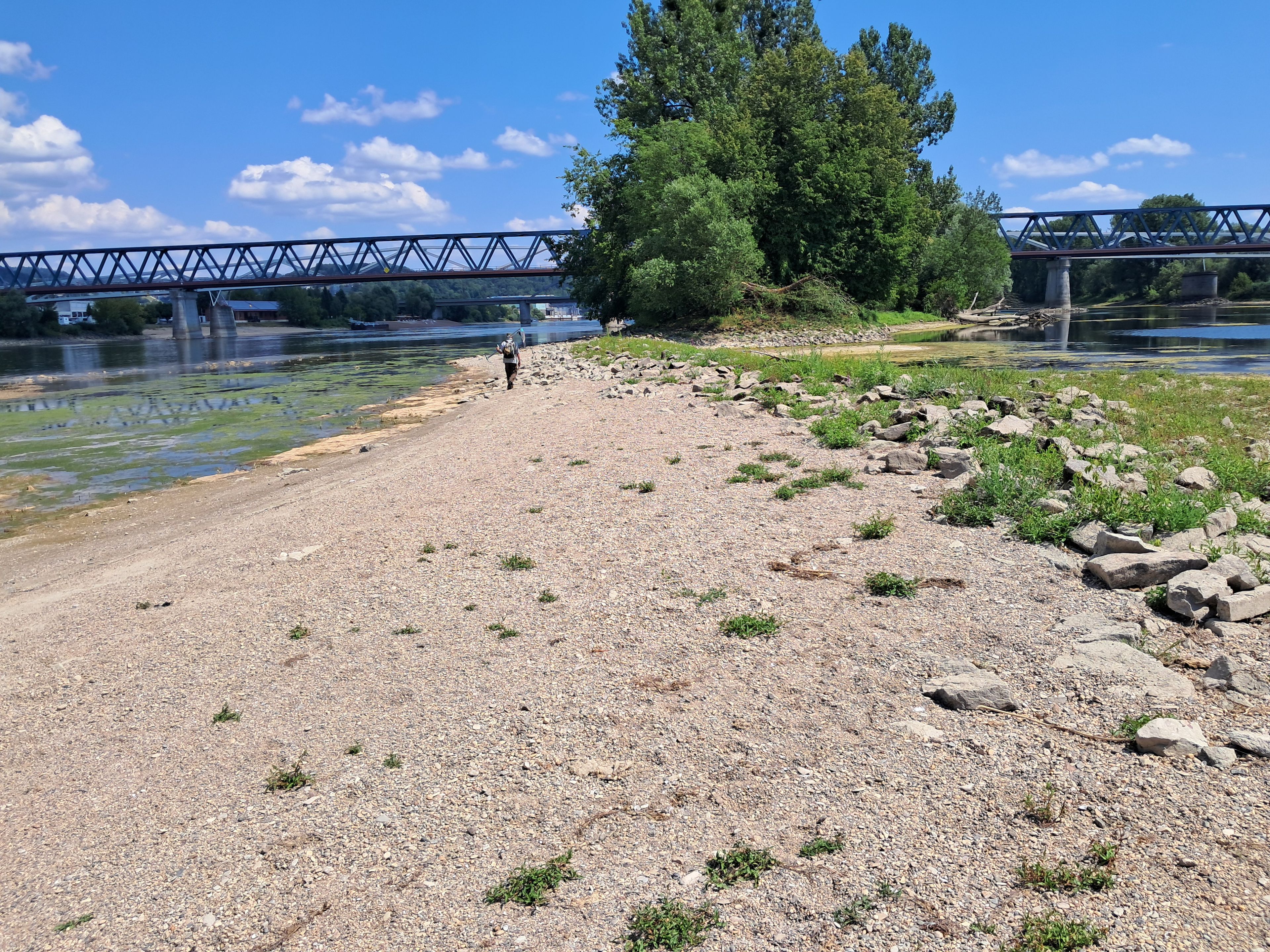Donauinsel, Donaustrand bei Niedrigwasser