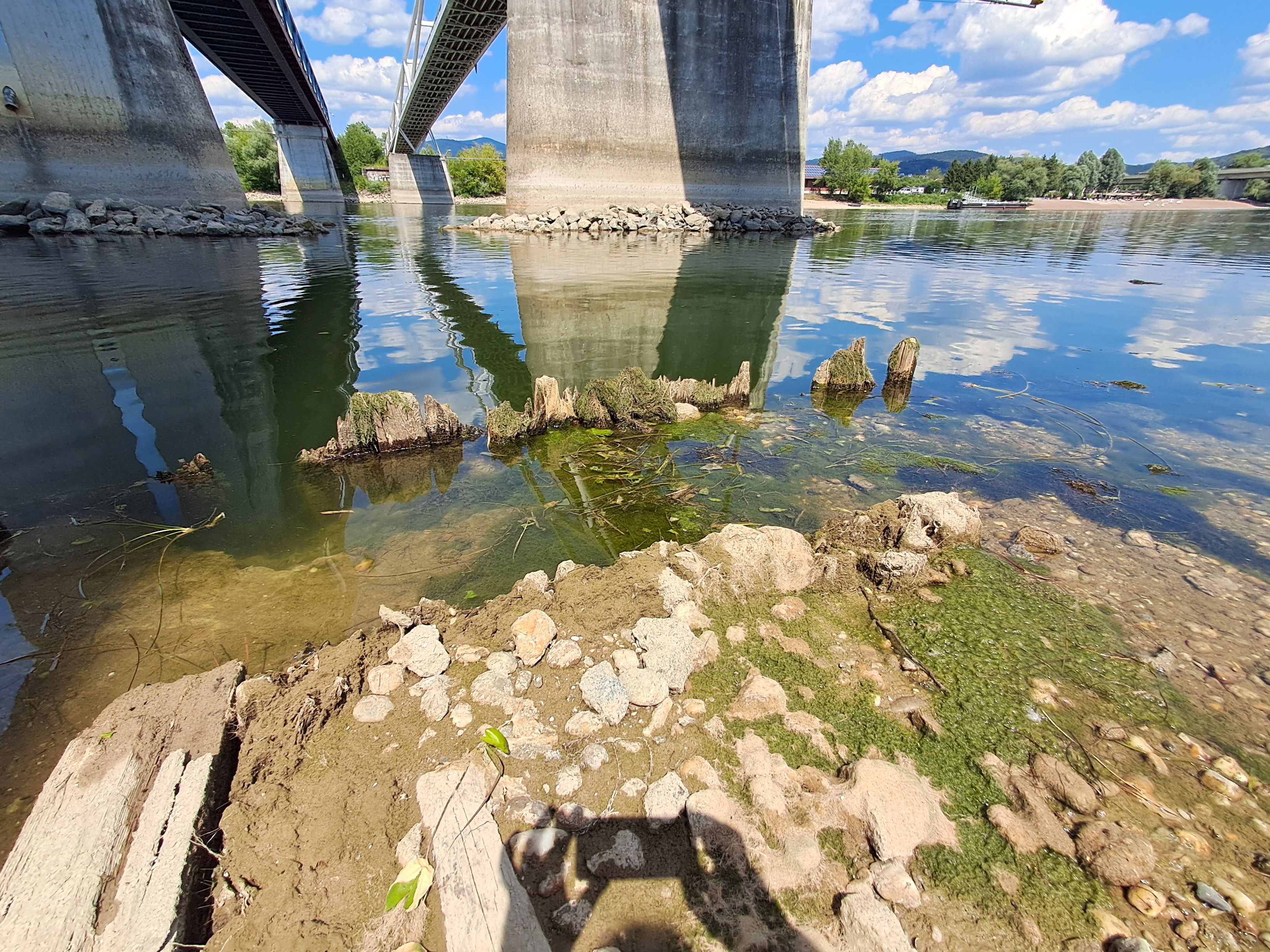 Donauinsel, Alte Brückenfundamente bei Niedrigwasser